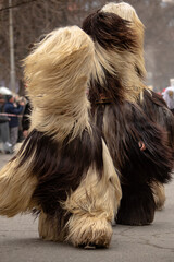 Masquerade Festival in Kyustendil, Bulgaria. Culture, local.