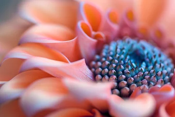Fotobehang a close up of a flower © Alexei