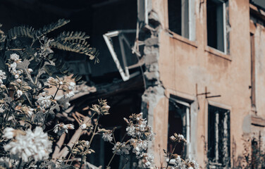 fresh natural flowers against the background of destroyed burnt houses war in Ukraine