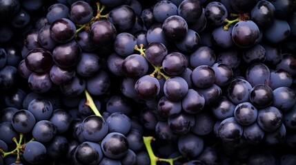 Black bunch of grapes top view close up frame background wallpaper