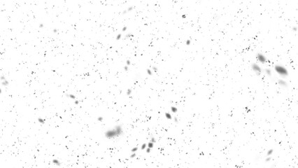 Falling White Snow in the Background. Texture Winter Snowflakes. Falling Snow Isolated on a Black Background