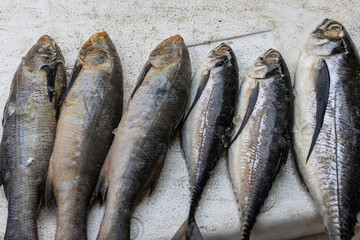 fresh fish kept at snow box at retail shop for sale at day from different angle