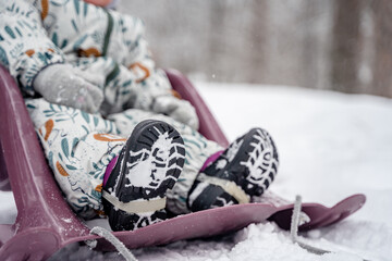 Little baby child on a sled in a snowy pine forest in winter