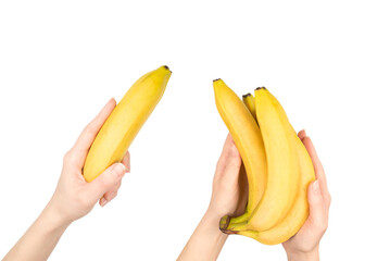A bunch of bananas in woman hand isolated on white background.