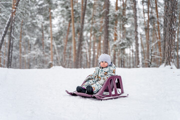 Little baby child on a sled in a snowy pine forest in winter