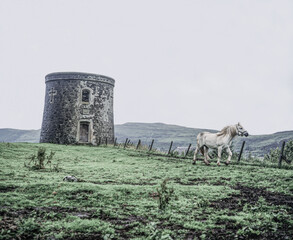 Obraz premium windmill on the hill with a horse, scotland