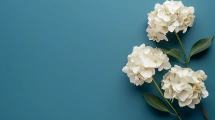 Schilderijen op glas bouquet of white hydrangea flowers © Leo