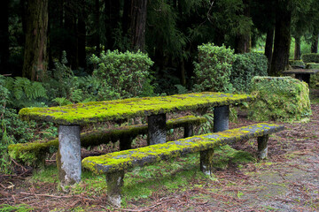 bench in the park