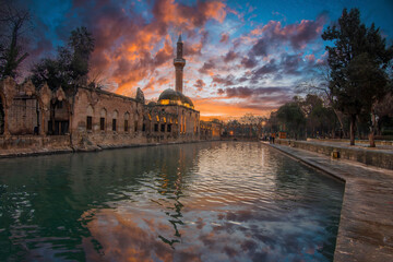 Balikligol ( fish lake ) in Sanliurfa City of Turkey