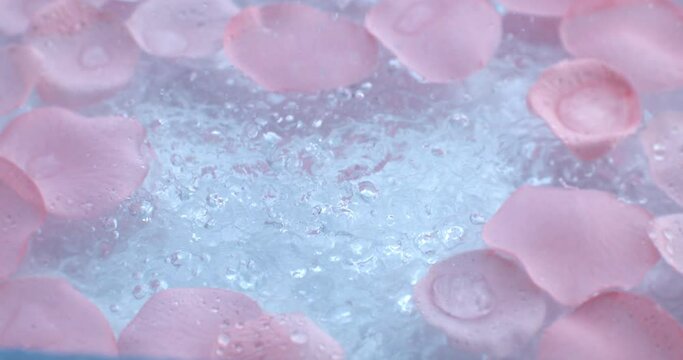 Super slow motion macro of splashing crystal clear pure water drops are falling on fresh organic pink flower rose aromatherapy petal essence at 1000 fps. Spa, wellness center, skin care products.