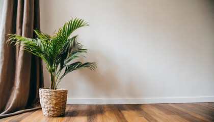 Plant against a white wall mockup. White wall mockup with brown curtain, plant and wood floor. 3D