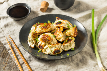 Asian Dumpling Pot Stickers Gyoza