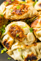 Asian Dumpling Pot Stickers Gyoza