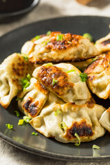 Asian Dumpling Pot Stickers Gyoza