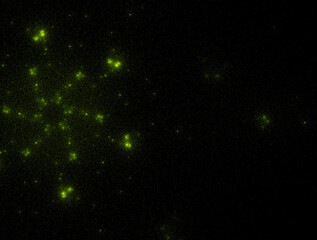 Imaginatory fractal abstract background Image