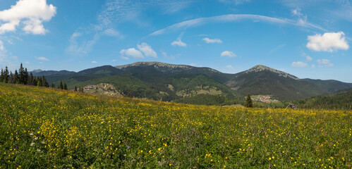 Summer Gorgany massiv mountains scenery view from Sevenei hill (near Yablunytsia pass, Carpathians, Ukraine.)