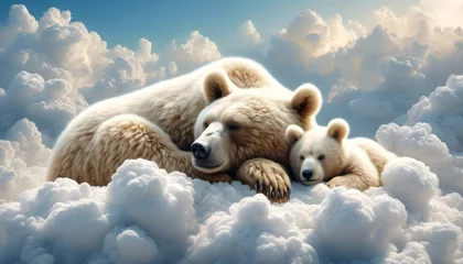 Deurstickers brown bear in the sky © Digital Dreams by JC