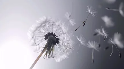 Fotobehang Generative AI : Overblown dandelion with seeds flying away with the wind © The Little Hut
