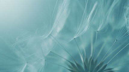 Generative AI : dandelion plant with seeds isolated on blue - Powered by Adobe