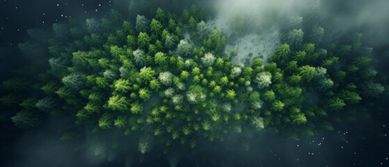 Fototapeta premium Aerial View of Lush Green Forest Canopy with Mist and Winding River