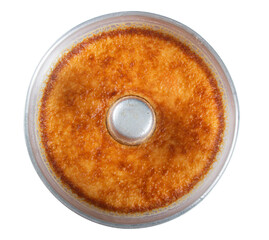 Milk pudding isolated with transparent background png