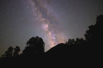Low angle view of a silhouetted forest with the Milky Way in the background at night - Powered by Adobe