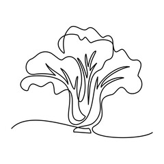 Chinese cabbage in continuous line art drawing style. Bok choy (pak choi) black linear sketch isolated on white background. Vector illustration - obrazy, fototapety, plakaty