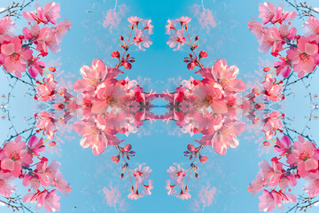 Obraz na płótnie Canvas pink pink cherry blossoms in full bloom on a blue sky