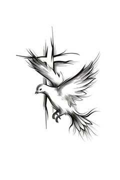 recommend clip art: Vector image of a flying dove and a cross on a white background. Line drawing.