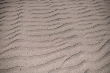 Close-up of sand in the desert, waves on the sand from the wind. No one.