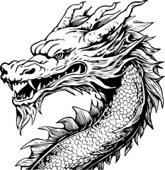 dragon head vector design, isolated background, hand drawn illustration style