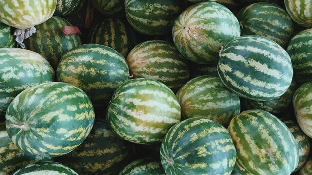 Watermelons on the fruit and vegetable market. Uzbekistan - June 29, 2023: Goods and traders at the Oriental Bazaar. Siab Bazaar is the largest and oldest bazaar in Samarkand. 4K