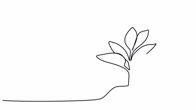 Sprout, one line drawing animation. Video clip with alpha channel.