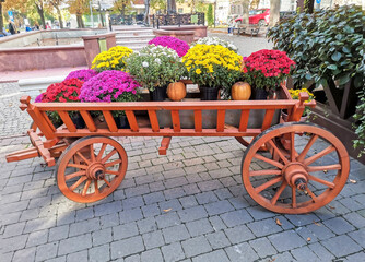 Fototapeta na wymiar Vintage wagon with colorful flowers. Purple, yellow and white asters. Street decor