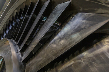 Blades of steam turbine rotor.