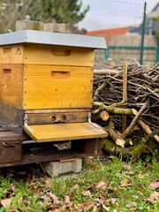 Ein gelber Bienenstock aus Holz steht im Freien. Im Hintergrund ist eine Bentjeshecke aus Holz sichtbar