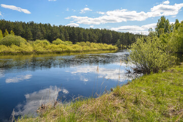 Forest river in May.