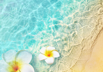 Obraz premium White flowers on the summer beach in sea water. Summer background.