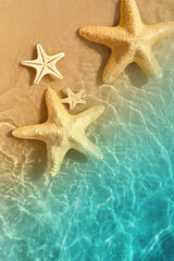 Starfish on the summer beach in sea water. Summer background.