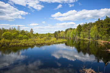 Forest river in May.