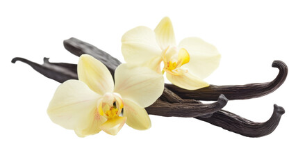 Naklejka na ściany i meble Vanilla sticks with flowers on transparent background