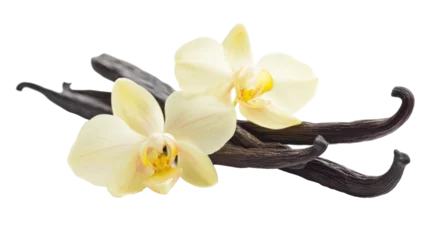 Poster Vanilla sticks with flowers on transparent background © YauheniyaA