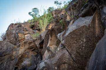 Fototapeta na wymiar Rock cliff with plants