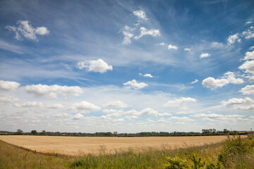 Norfolk fields and big sky