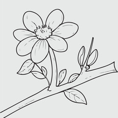 simple drawing lines of a realistic flower perched on branch flower