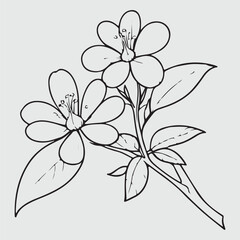 simple drawing lines of a realistic flower perched on branch flower
