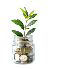 Fototapeta na wymiar Glass jar with coins and plant isolated on transparent