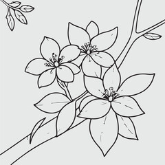 simple drawing lines of a realistic flower perched on branch flower