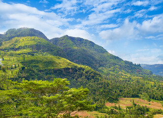 Fototapeta na wymiar Hilly landscape of Sri Lanka.
