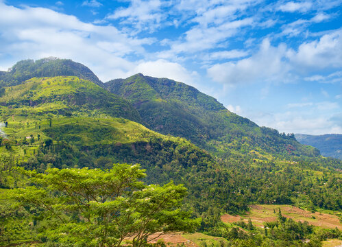 Hilly landscape of Sri Lanka.